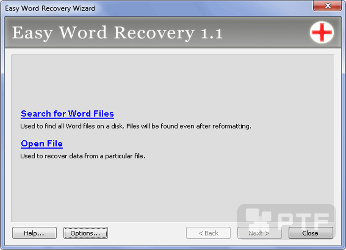 easy word recovery portable